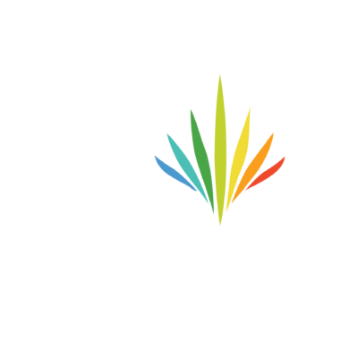 Vinhomes wonder park đan phượng