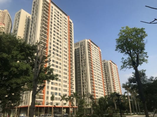 can ho nho nhung gia lai chat vi sao1