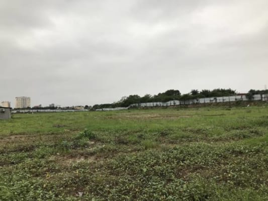 ha noi can than khi dau tu vao bai dat trong the jade orchid tai co nhue