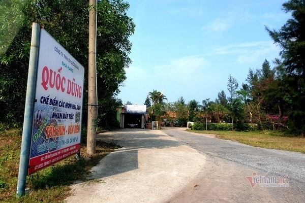 quang binh vi sao lai xay ra su viec lan chiem 11000 m2 dat kinh doanh