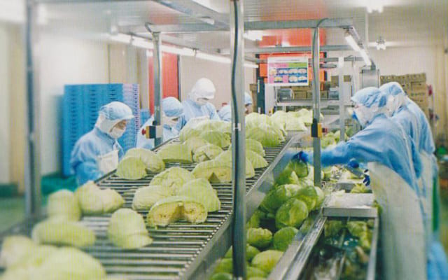 to chuc lao dong quoc te cong bo dich covid 19 khien 25 trieu nguoi that nghiep