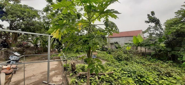 gianh gium 5 nam tiet kiem dau t