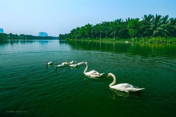 nang nong dien bien phuc tap co