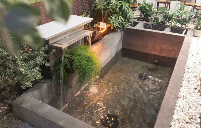 Bể cá cảnh trong khuôn viên nho nhỏ