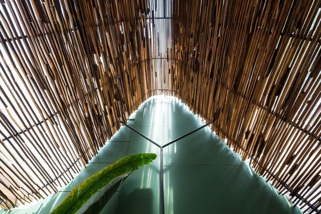 Cây xanh trở thành “người bạn” thân thiết trong không gian công trình.