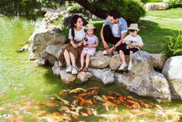 Hồ cá Koi ẩn mình dưới những tán cây tùng hàng trăm tỉ đồng. 