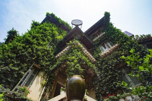 ro trao luu lam nha cay can trong anh huong chinh den suc khoe1