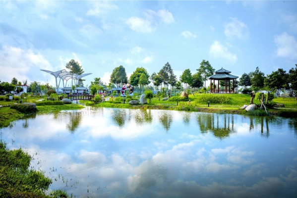 image006 6510 1594217706