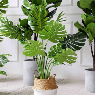 1604651651 0ec983751868ade18ed3a1b16cc72824